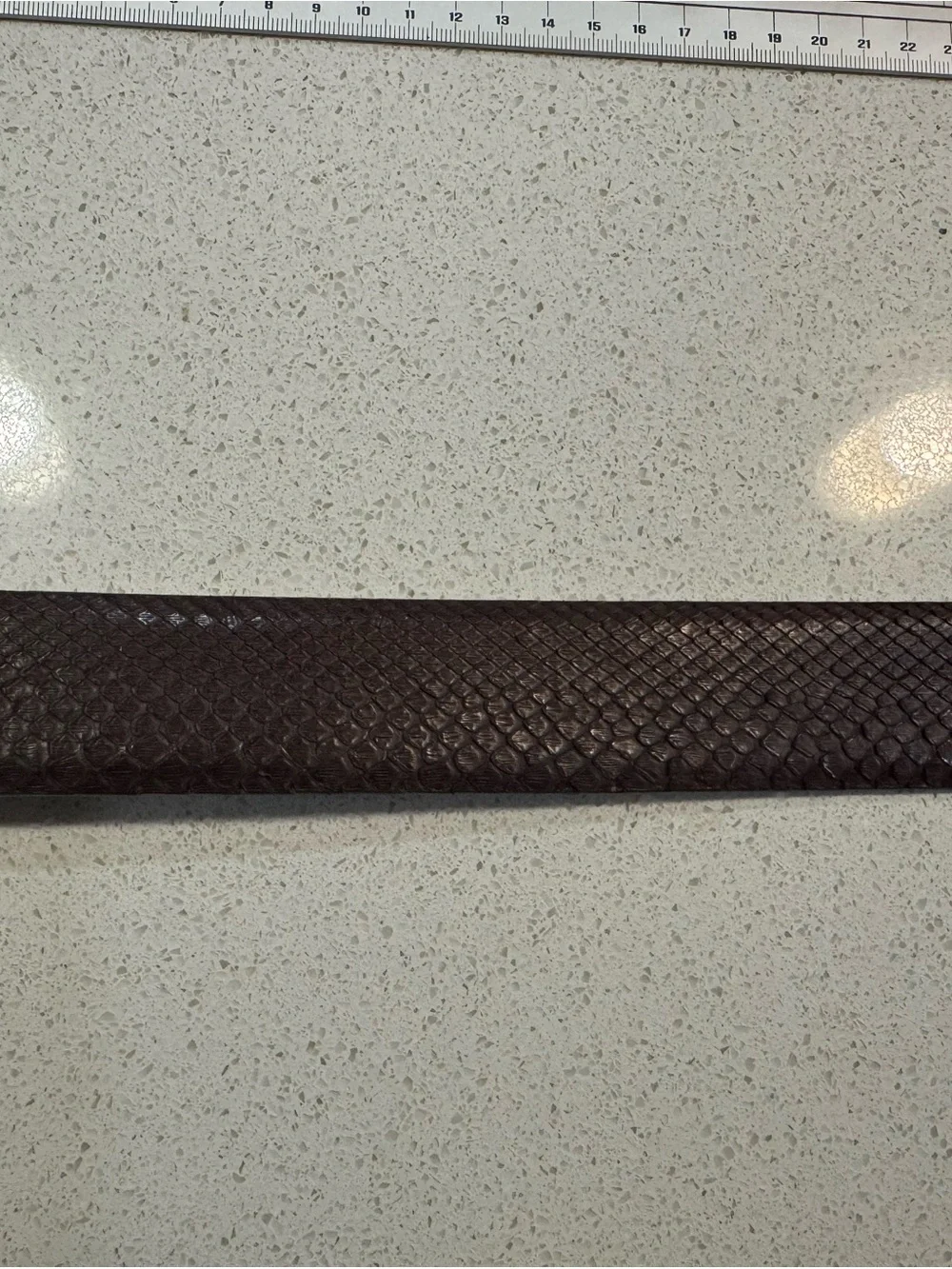 W. Kleinberg Genuine Python‎ Snakeskin Belt Brown Silver Buckle